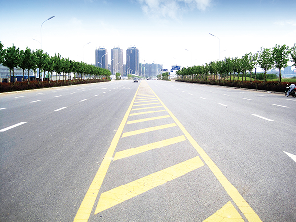 肥東縣東風大道市政道... 